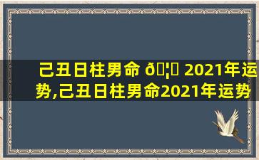 己丑日柱男命 🦁 2021年运势,己丑日柱男命2021年运势怎么样